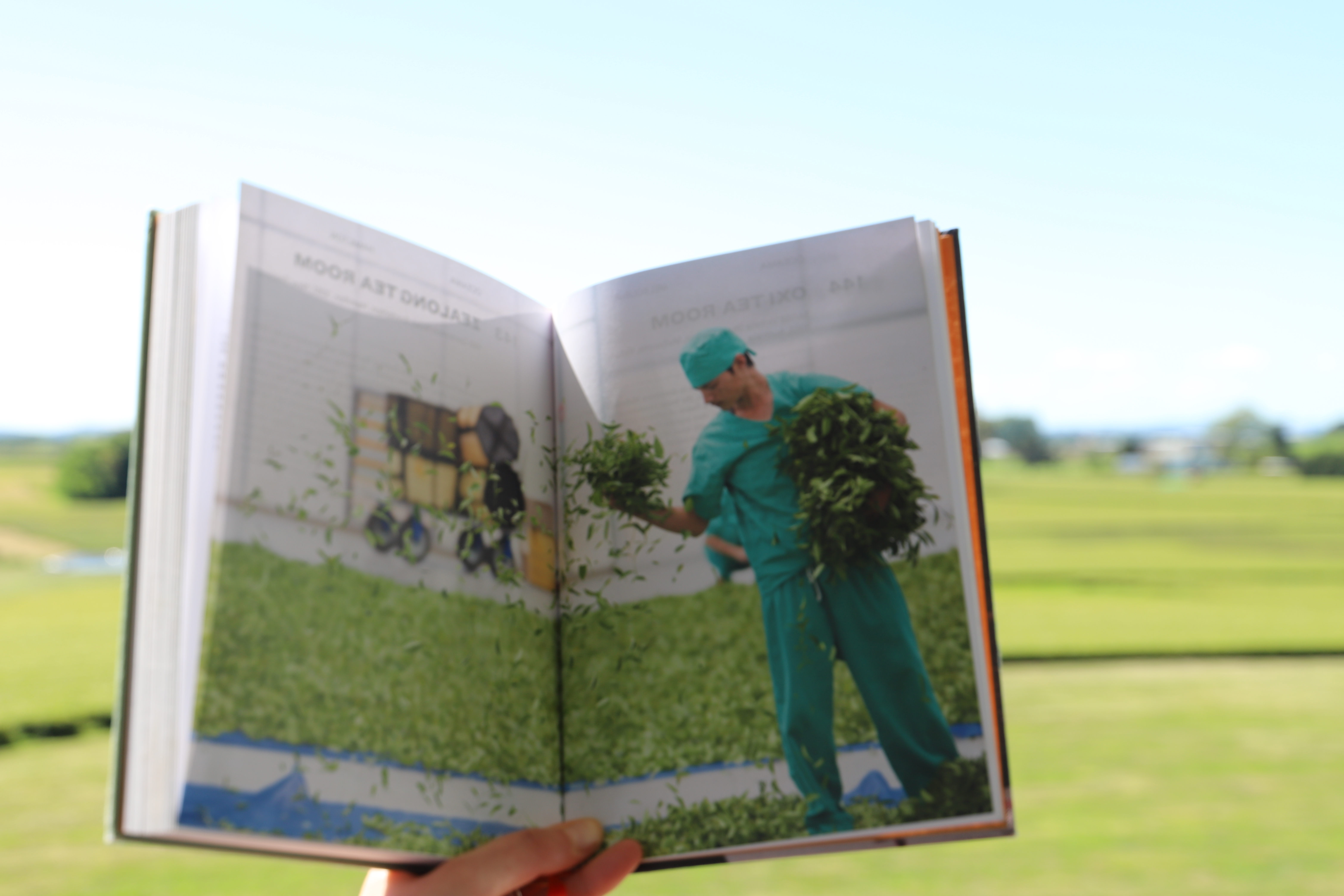 150 Tea Houses to Visit Before You Die