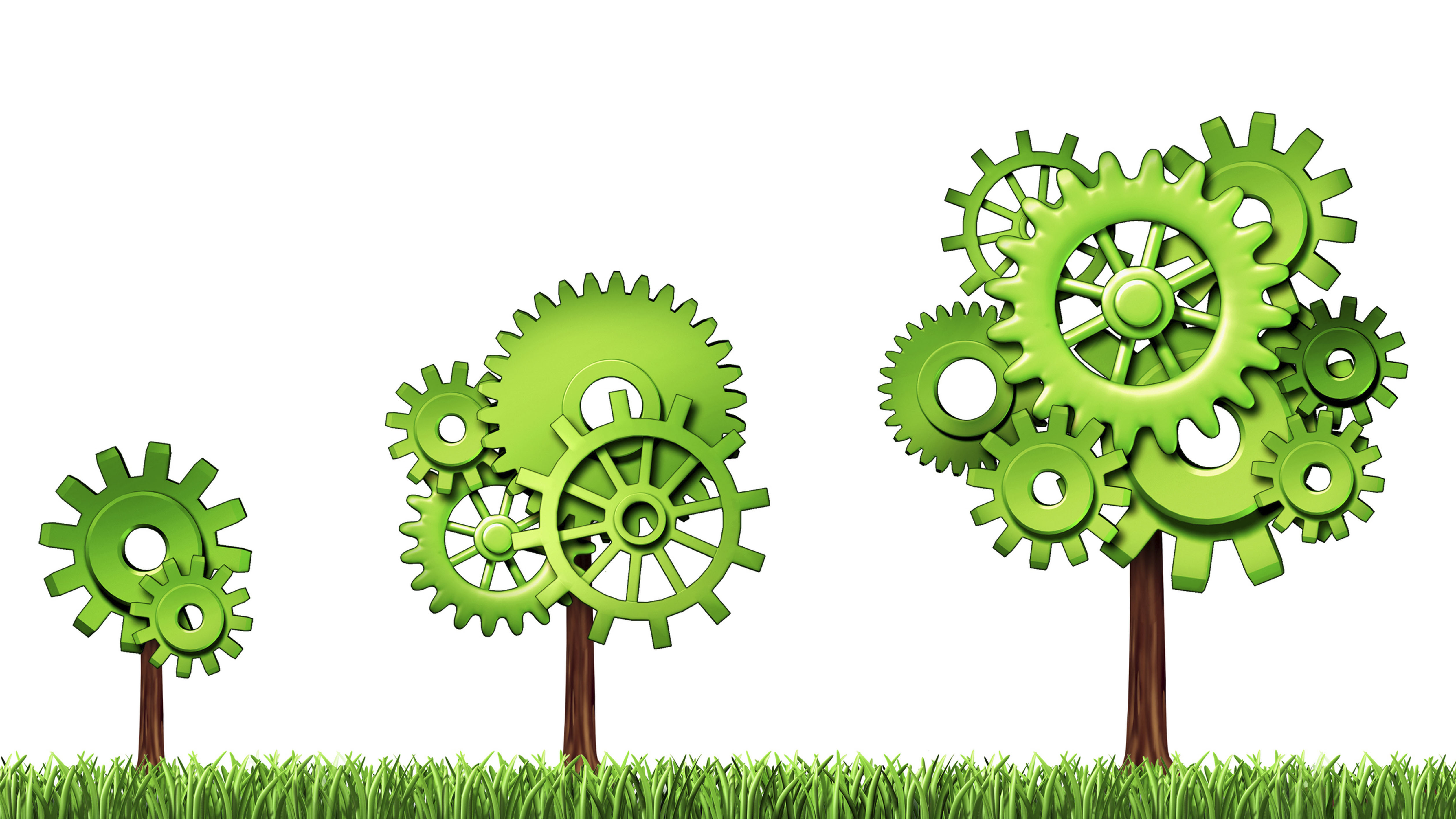 Trees 2 - crop 16x9_1