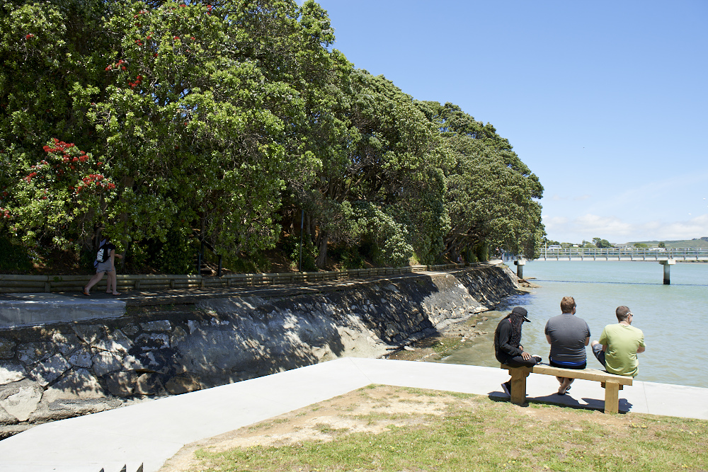 Visitors to Raglan admiring the view
