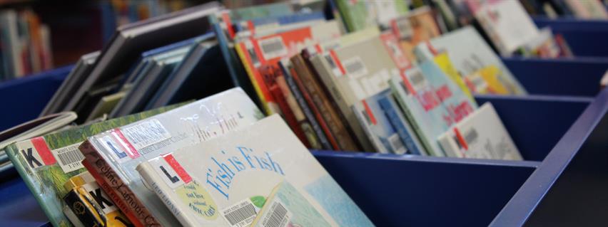 Learn how to renew a book