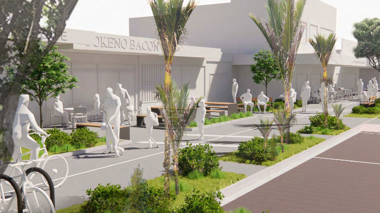 Pookeno Public Realm Concept Plan